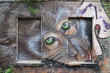 Graffiti in Doel, België