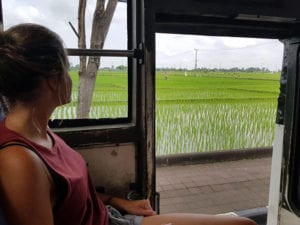 Busreis in Java