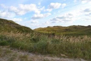 De duinen van Texel