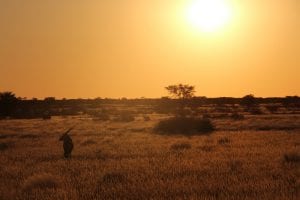 Zonsondergang in de Kalahari