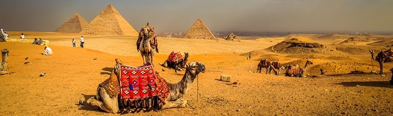 Overwinteren in Egypte