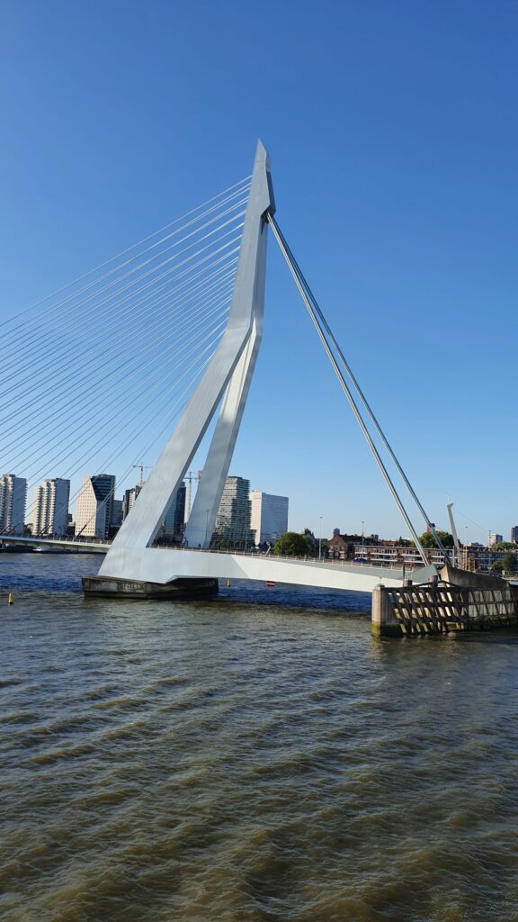 Erasmusbrug