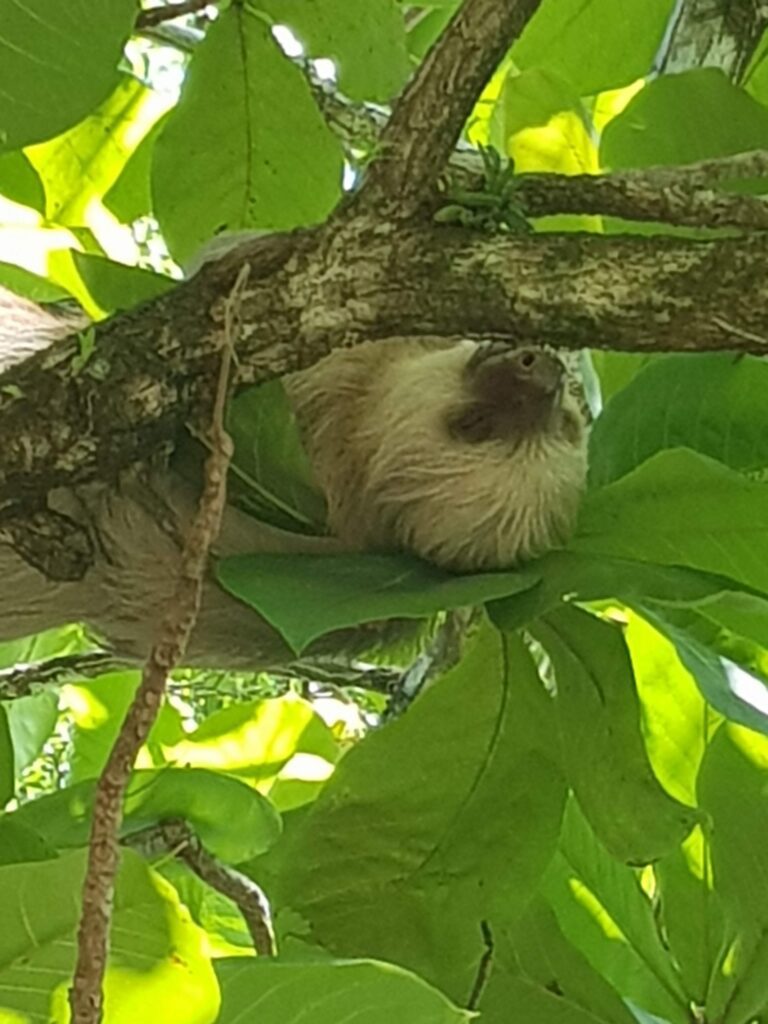 Manuel Antonio National Park