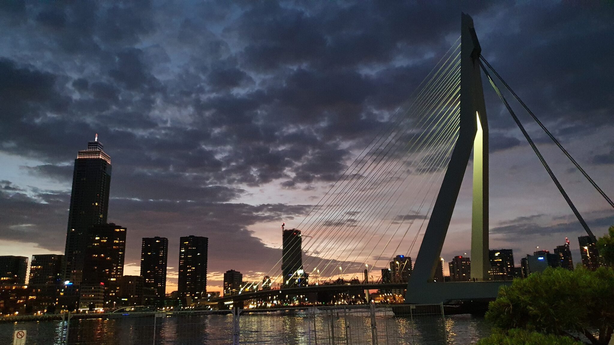 Skyline rotterdam by night